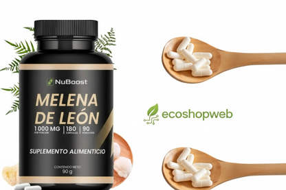 Imagen con logo ecoshopweb a color